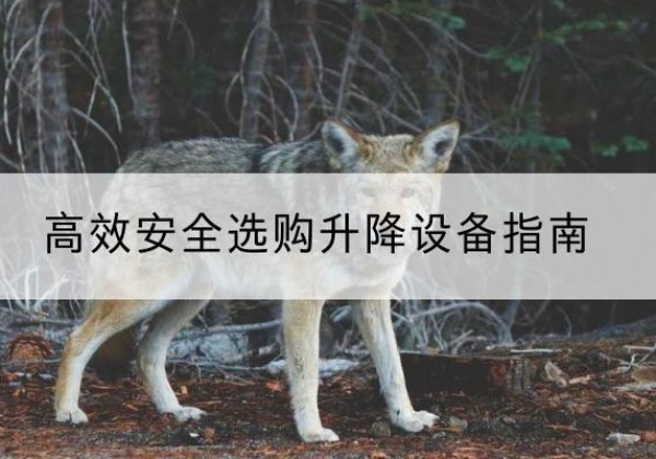 甘谷升降货梯厂家推荐-*安全选购升降设备指南