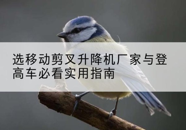 甘谷电动升降机厂家-选移动剪叉升降机厂家与登高车必看实用指南