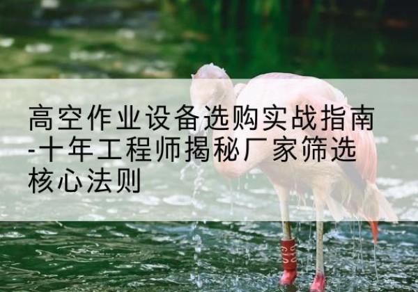 甘谷剪叉式升降机厂家-高空作业设备选购实战指南-十年工程师揭秘厂家筛选核心法则